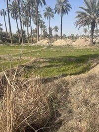 قطعه زراعي • ٤٠٠م • طويريج الرشيده