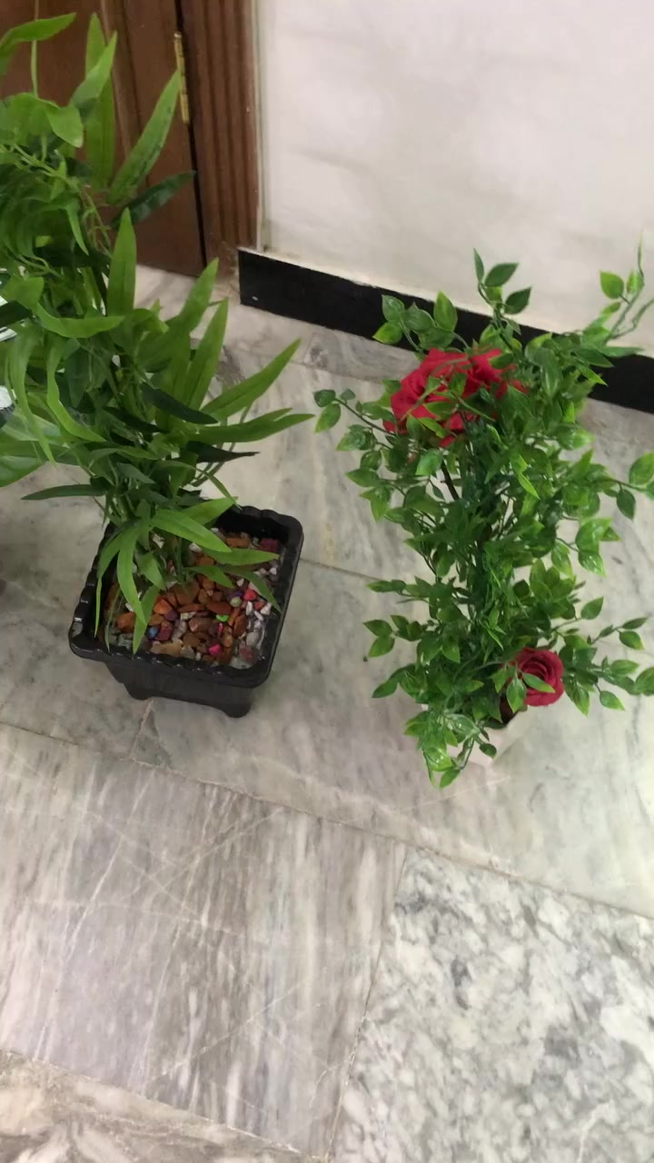 للبيع بغداد الشعب كلهن ب٥٠


**إذا كنت صاحب هذا الإعلان وتريد حذفه لأي سبب، رجاءا أرسل رسالة إلى الدعم الفني**