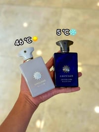عطور فاخرة • ماركات عالمية • بيع جملة