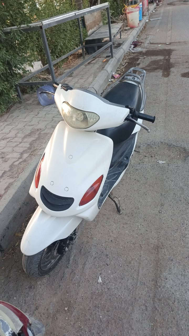 دوالفين للبيع فحل نضيفه شرط سعرها 750 وبيها مجال #***********
