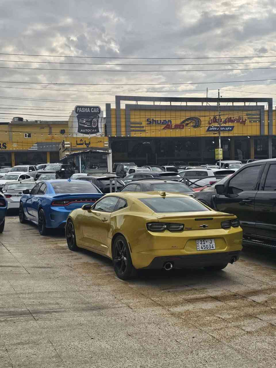 2024
V6
لون ذهبي
ماشي ٢ الف
٢قتع صبخ
رقم سليمانيه مكان سياره سليمانيه
***********
