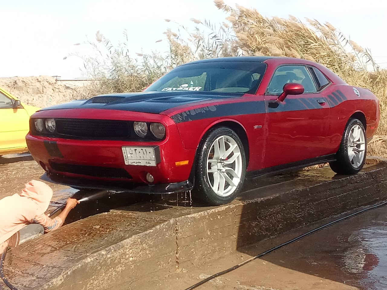 سلام عليكم لشراي فقط بدون مراوس لبيع علق واني اتخلك  جالنجر 2014مئوي اصدار مميز حادث سياره قطعه صبغ جاملغ لخفي جه سايق نصه صبغ مختمه بل كامل مئوي دواخل كشنات وشاشه وجاملغات ومكينه مخته مئوي فول لخير فتحه جلد تحكمات ستيرن كشنات هيتر وضعيات سبورت وقياده ودخول ذكي بصمات ثنين تبريد ثل حداديه امامي خلفي جديد شاده مشط ستيرن ستوني شاده تخم تاير تخم ويل دركه SRT يده كير حمره موبار وياله SRT تخم بطاين دوس سياره احلاه من صور تجي وتشوف شراي اله عيوني واسف  على اطاله  بس سياره ما شأ الله احسن من لعاديات بهواي كهربائياته كله تشتغل سعر 125وبيه مجال ولي ما تعجبه يعلق بكلمه حلوه وشراي انطي عيوني ولماعنده بلاش اله بسمي مشروع وطني وسونار راحاخلي بل منشور بأمريكا كلين  ولي ما تعجبه اكو هواي غيره  وتعبانات وهاي الله شاهد مال جناي


**إذا كنت صاحب هذا الإعلان وتريد حذفه لأي سبب، رجاءا أرسل رسالة إلى الدعم الفني**