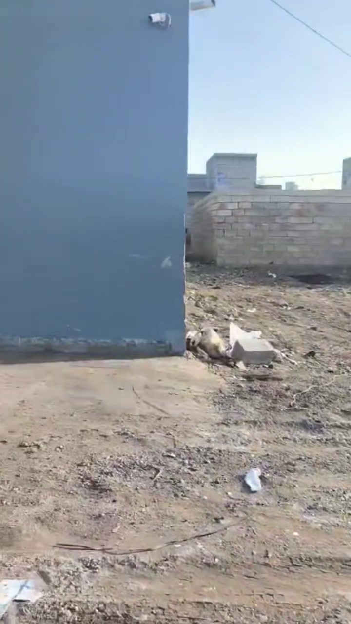 يالله على بركة الله مشتمل للبيع طابو زراعي سند ٢٥ تحويل مباشر واجه ٨ونص نزال ١٤م مساحته ١٢٠ بناء حديث ٢٠٢٥ حي الفارس خلف النهر يتكون من غرفه وصاله ومطبخ واستقبال ومجموعه صحيات البيت كامل كله سيراميك يعني فول شارع ١٠م سبيس مدفون السعر ٦٥ وبي مجال بصيط ***********
