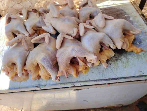 السلام عليكم 
غدا وجبه دجاج احمر سرحي وزن فول ريش كامل
انسب الاسعار جيك السوك وتعالني

3دجاجات ب13مع الحلج

3دجاجات ب15مع الحلج والشلوط والتقطيع

2دجاجات ب9مع الحلج

2دجاجات ب10مع الحلج وشلوط وتقطيع

الدجاجه الوحده ب5مع الحلج
مفرق اللزاكه والسرت مقابيل دكتورى لمى يم المشتل

‭***********‬

***********
