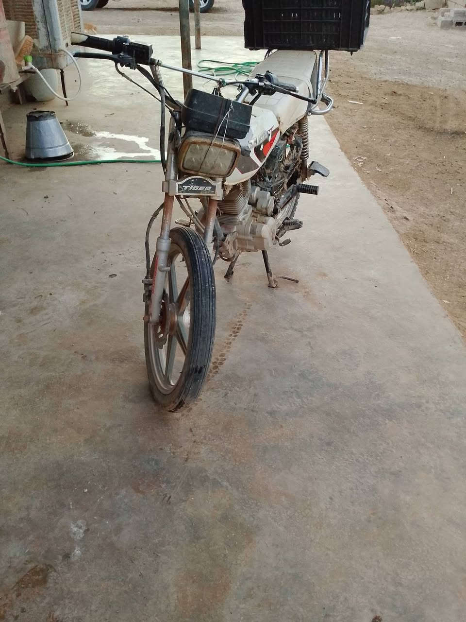 سلام عليكم 
مطور البيع بي من فيس 
السعر 200الف
العنوان ناحيه الملتقى قريه الصخره 
***********
