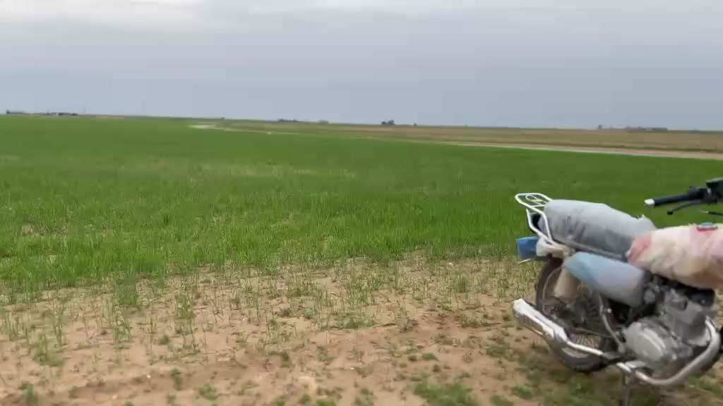 سلام عليكم دراجه أربعة كير زيرو صار عشرين يوم من شاده السعر 800وبيه مجال الطيبين🫴


**إذا كنت صاحب هذا الإعلان وتريد حذفه لأي سبب، رجاءا أرسل رسالة إلى الدعم الفني**