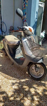 هندر • شرط • مفتوح