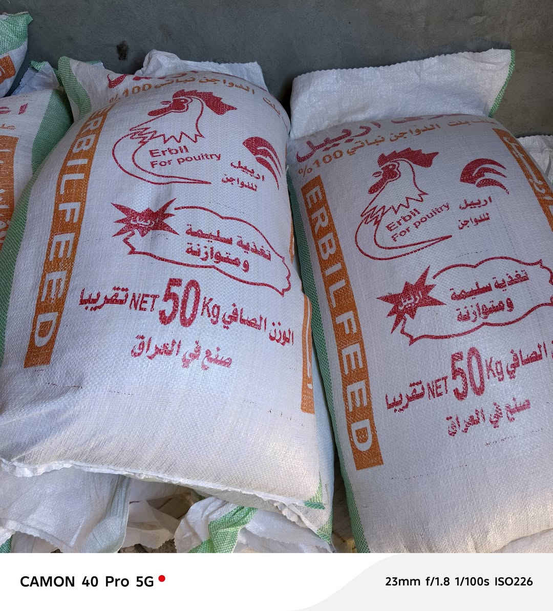 السلام عليكم
يتوفر اعلاف الفهد الغربية و feed

سعر الجملة يختلف عن سعر المفرد 

يوجد توصيل حسب الاتفاق 
للطلب الاتصال على الرقم ***********
المكان البغدادي
