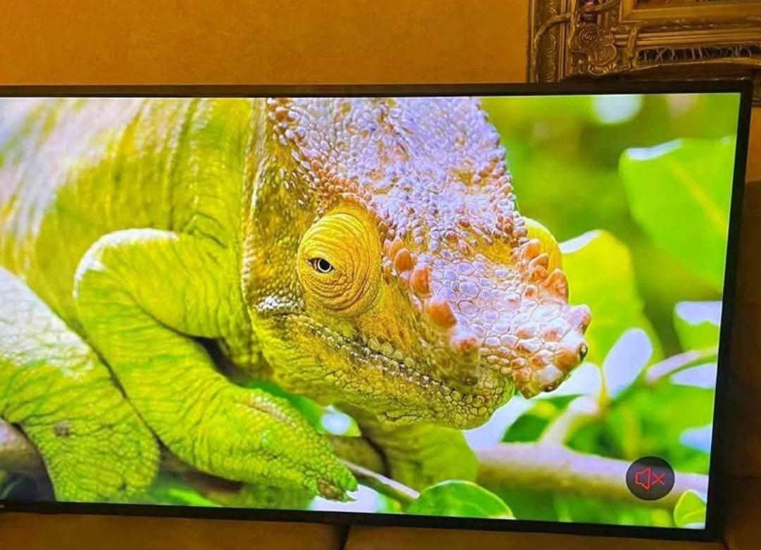 شاشة الحجم 50 سمارت ام النترنيت نظيفة مستعملة 
السعر 225 الف مكاني بغداد شعلة ***********
