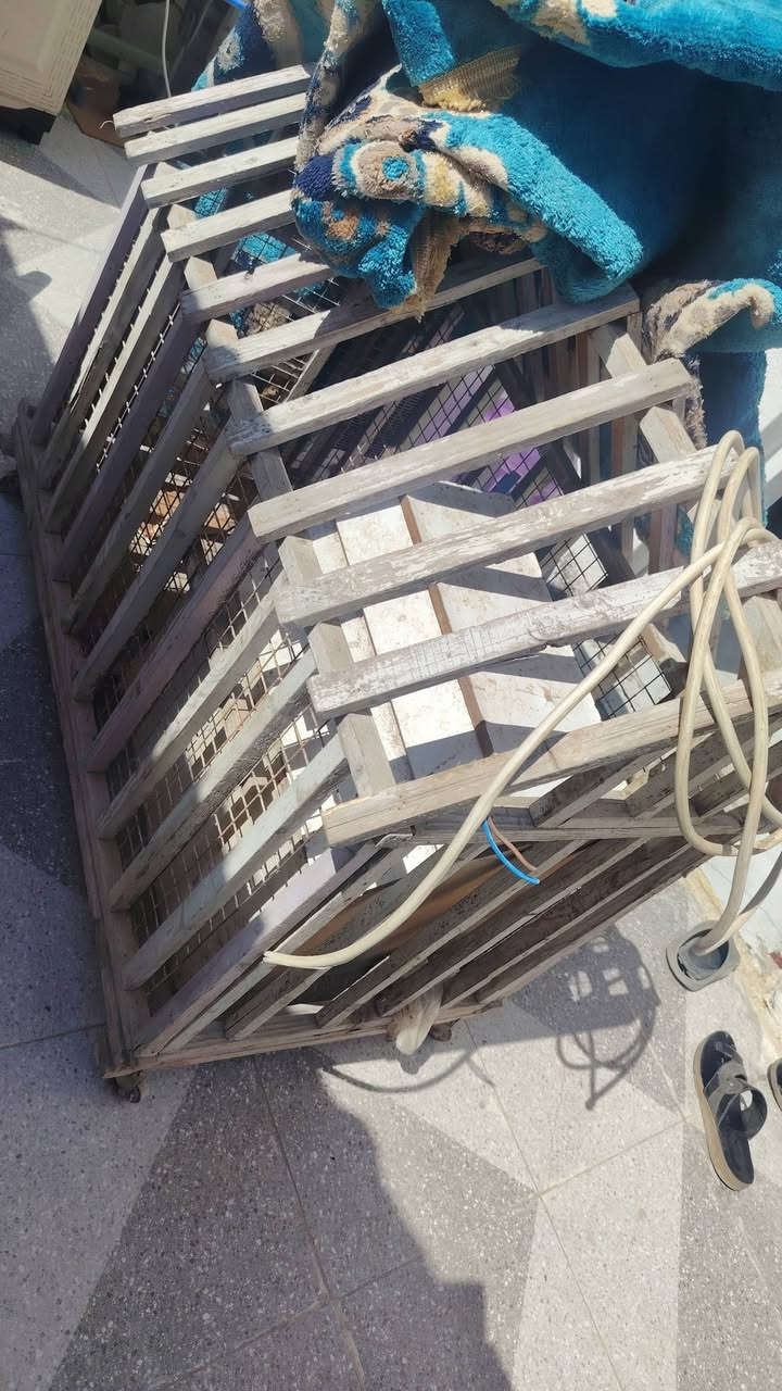 قفص اجلاب للبيع سعره ٥٠


**إذا كنت صاحب هذا الإعلان وتريد حذفه لأي سبب، رجاءا أرسل رسالة إلى الدعم الفني**