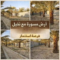 أبو الخصيب محيله • ١٠٧٥م • بستان نخيل