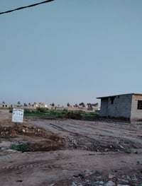الضلوعيه • ٣٠٠م • حاوي البحساني