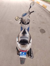 ماكس منغولي • فول نظافة • كفالة