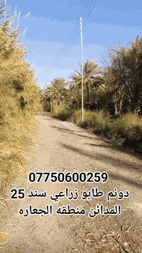 يا الله السلام عليك 
دونم للبيع طابو زراعي سند 25 العنوان بغداد المدائن منطقه الجعاره يبعد عن الشارع العام 900م تقريبا واجهته 29م السعر المطلوب 150 مليون الاستفسار الاتصال ***********
