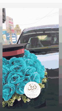 مناسبات • تزيين • المدائن