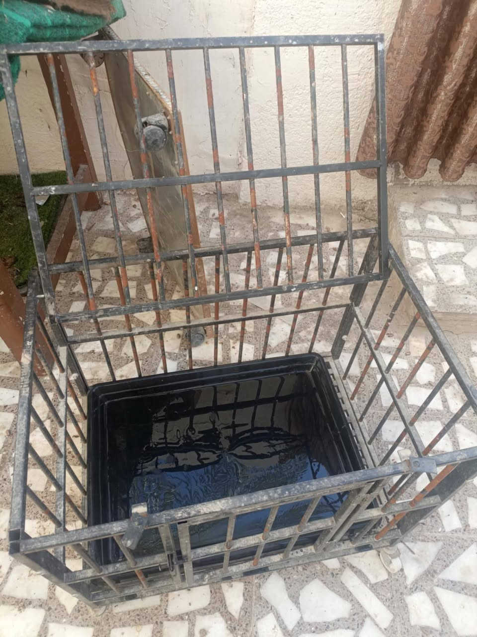 للبيع كلمن وسعره مكاني نجف اي استفسار خاص


**إذا كنت صاحب هذا الإعلان وتريد حذفه لأي سبب، رجاءا أرسل رسالة إلى الدعم الفني**