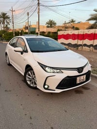 كورلا ٢٠٢٤ • فول خليجي • مو حادث