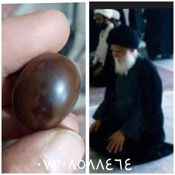 حجر داوودي بصور رباني سعر خاص عنوان ناصرية رقم الهاتف *********** ناصرية
