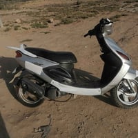 دولفين • ياباني • فحل