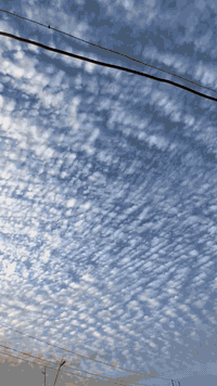 يالله سلام عليكم جارجر 2012 رقم بغداد
مكينه 3600كير ماوس كشن جلد ويل خليجي 18
حادثها جاملغ خلفي طخه بصيطه وبيبان ثنين تبديل اصلي بدون صبغ
مكينه وكير وحداده وأكسل خير من الله  سنويه 28 تنتهي
بجم كبس لافتح ولا أرباك ولا شاصي ولا الغد 
السعر 145 وبيها مجال لشراي 
مكاني بصره القرنه 
***********
