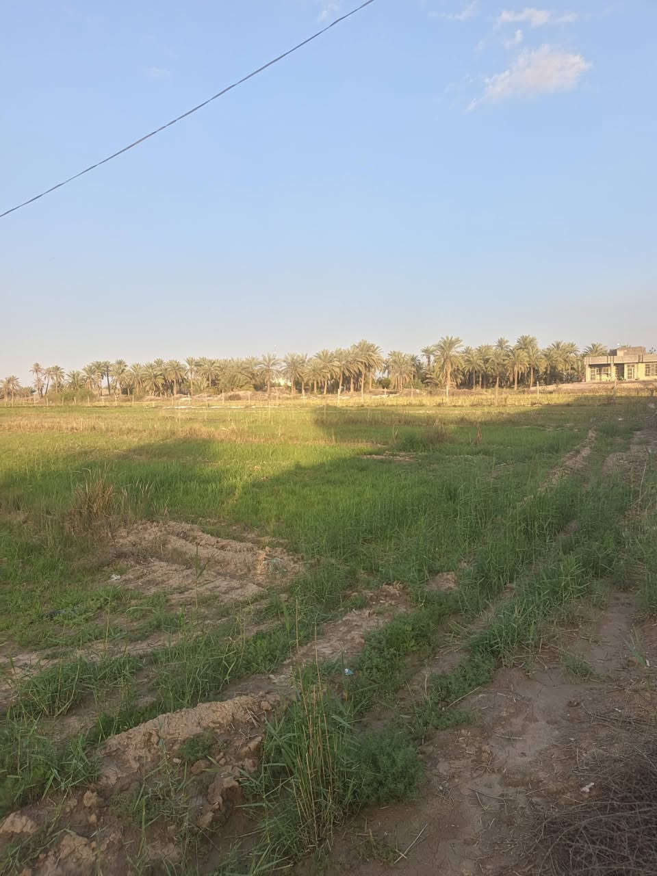 سلام عليكم قطعه أرض طابوا سند ٢٥ تحويل مباشر مساحه دونمين ع التبليط مباشر واجهه ٣٠متر ونزال ١٧٠متر منطقه هادئه ومتوفره فيها كامل الخدمات من شارع تبليط ومولد خط ذهبي وكهرباء ضغط عالي ماء أسأله وماء سقي كما متوفر في الصور و الواقع علما أن الأرض تصلح للمشاريع والسكن والزراعه ..موقع الارض المحاويل مزار العلويه فطوم بنت الإمام الحسن عليهم السلام  وبسعر جدا مناسب 
***********
