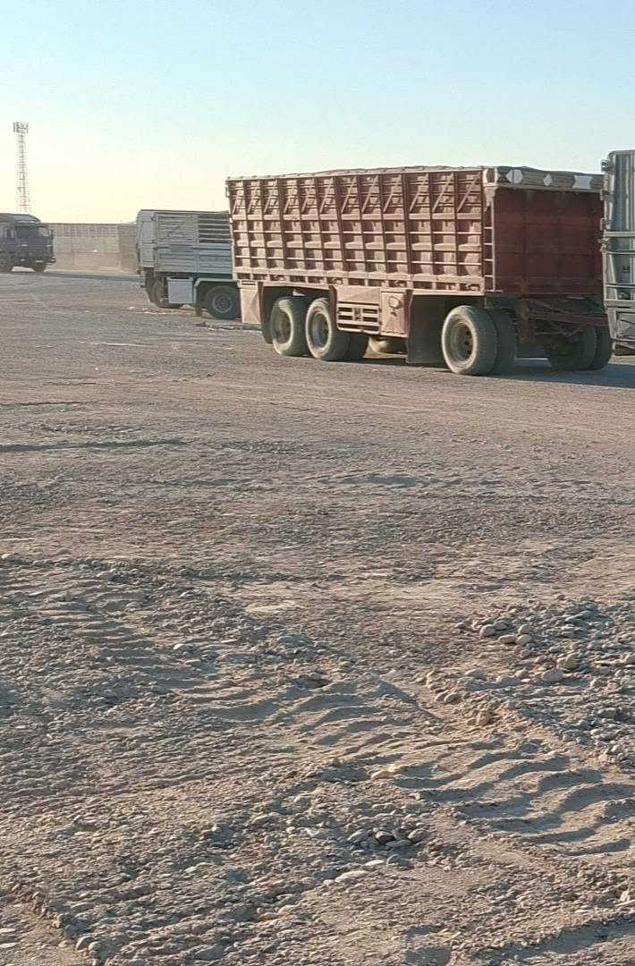 عربانه للبيع  ***********
