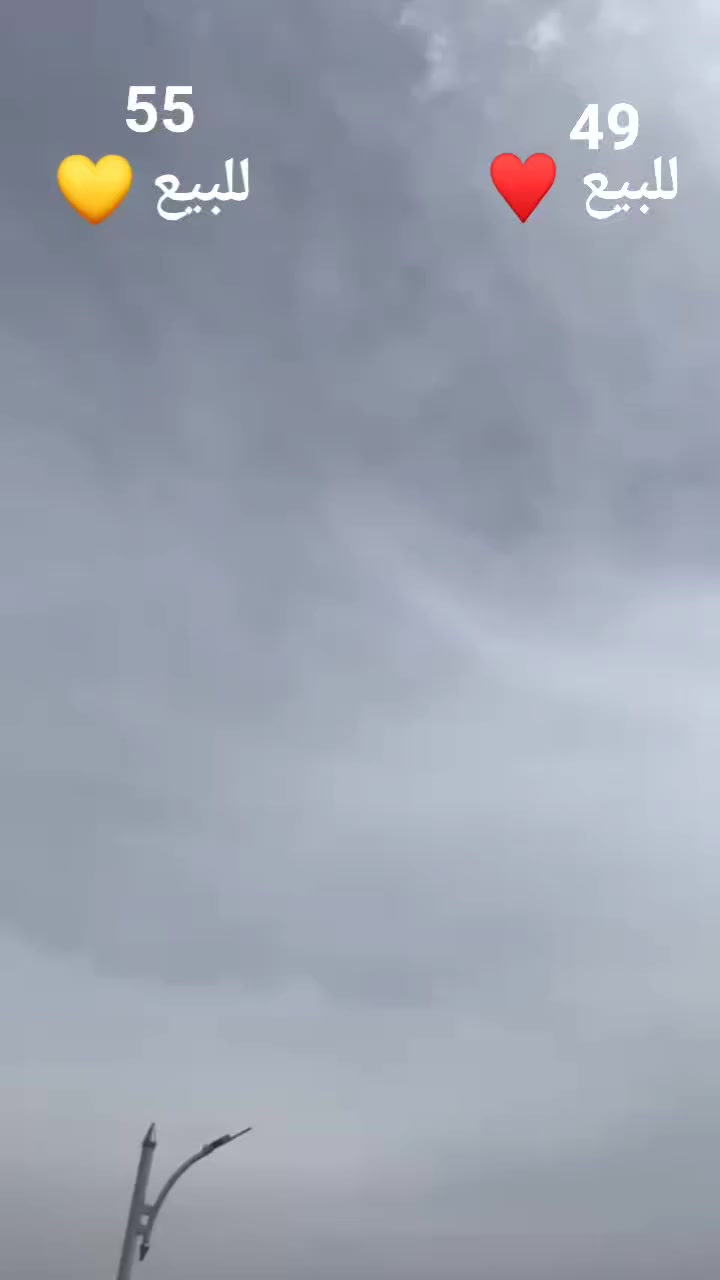 سلام عليكم كفاله عامه بصره زبير   ***********💛♥️
