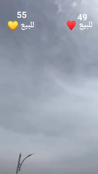 كفاله عامه • بصره • زبير