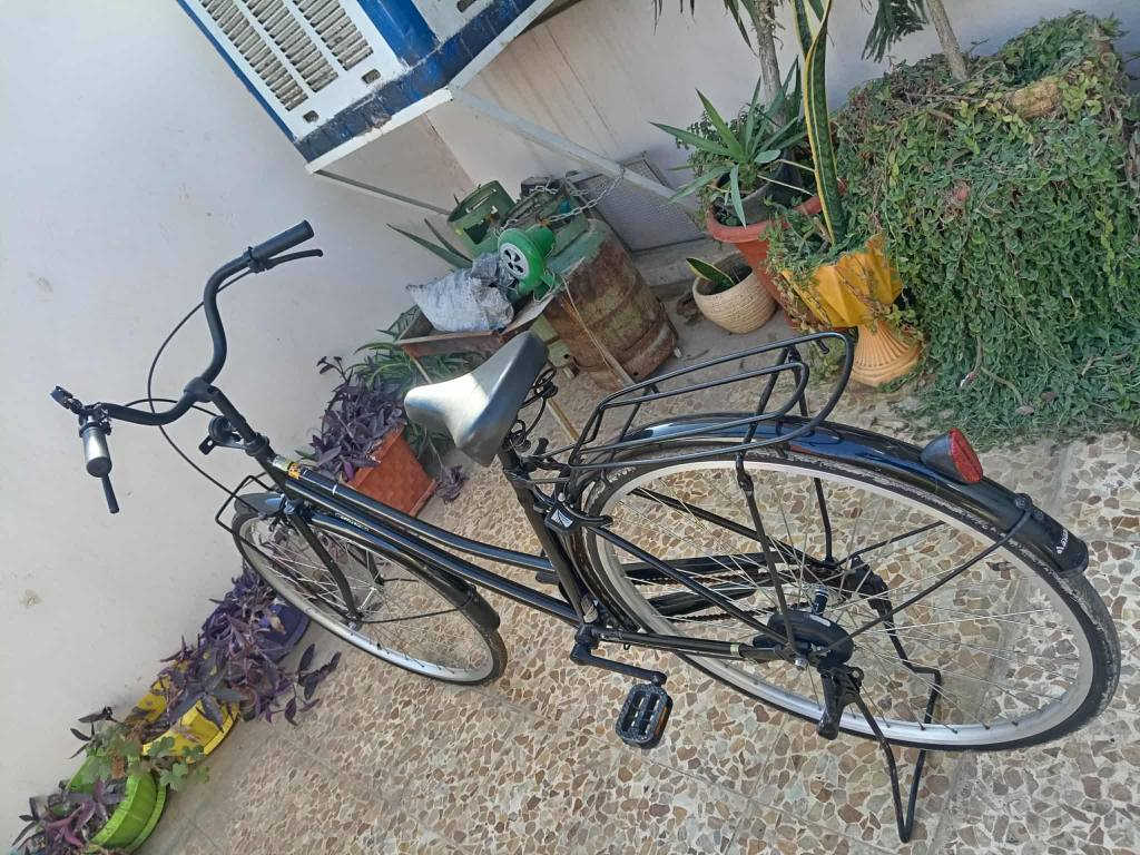 ‎السلام عليكم عندي باسكل عبدلحليم للبيع حجم ٢٧ موديل ١٩‎ موصل, نينوى


**إذا كنت صاحب هذا الإعلان وتريد حذفه لأي سبب، رجاءا أرسل رسالة إلى الدعم الفني**