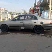 لا صبغ • ١٩٩٤ • عامرية الصمود