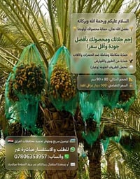 أكياس حماية • نخيل • ٩٠×٨٠سم