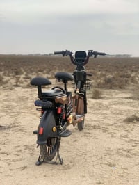 بايسكل شحن • ٤ بطاريات • ٧٠٠ واط