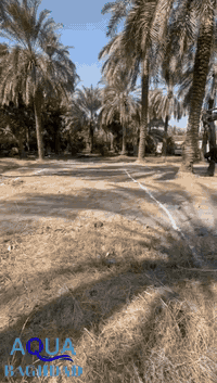 المدائن بغداد • قيد التنفيذ • مسبح ١٠×٥م