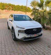 سنتافي ٢٠٢١ • وارد امريكي • بدون صبغ