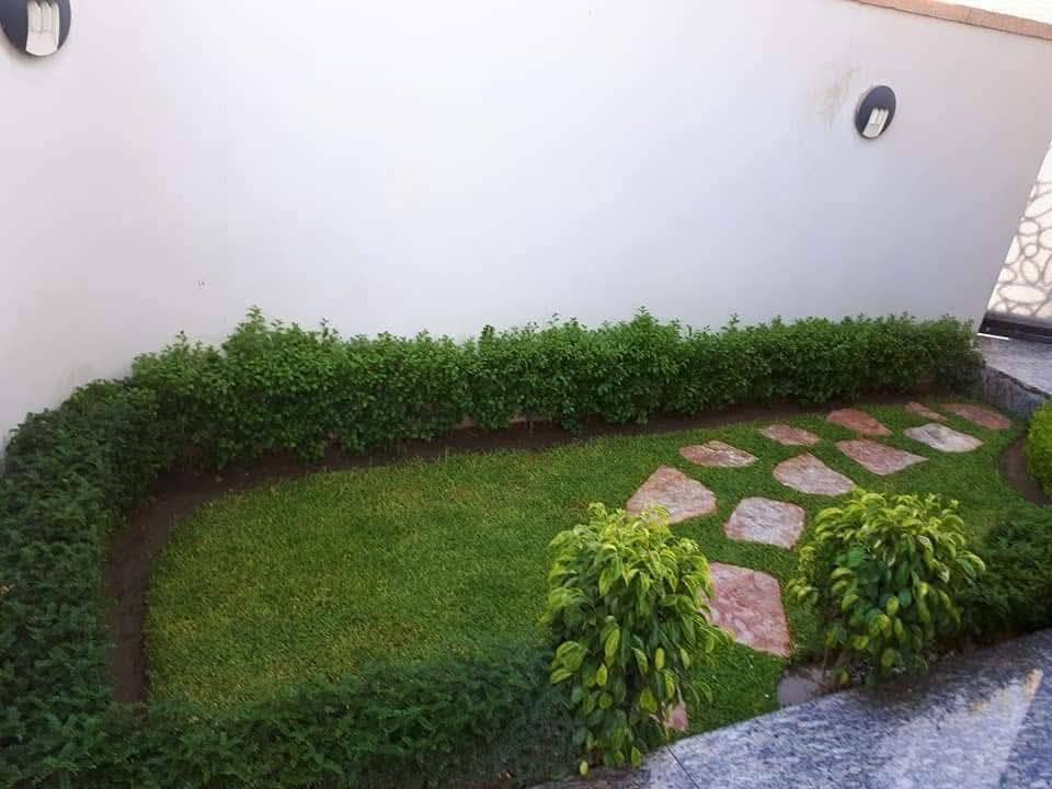 السلام عليكم من رخصت الادمن أعمل فلاح حدائق تنظيف وتزبير وترتيب حدائق إلتزام حدائق  شهريه اتصال واتساب ***********
