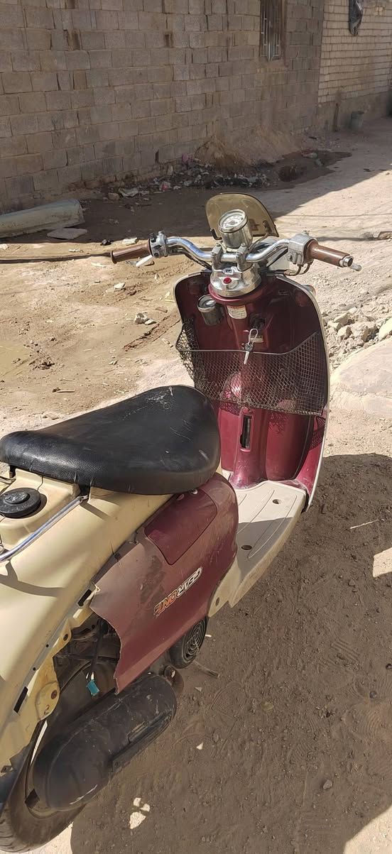 سلام عليكم دراجه 60 عبد الحليم السعر 250 كامله


**إذا كنت صاحب هذا الإعلان وتريد حذفه لأي سبب، رجاءا أرسل رسالة إلى الدعم الفني**