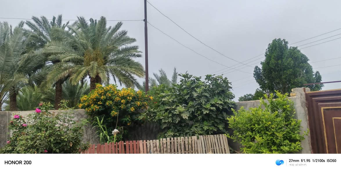 بيت للبيع زراعي سند٢٥ /السنيه ال بنايل نزله الشط
قرب مدرسه النصر مقابيل ملعب الشهيدين
مساحته 300م
السعر 12 بي مجال بسيط
***********

