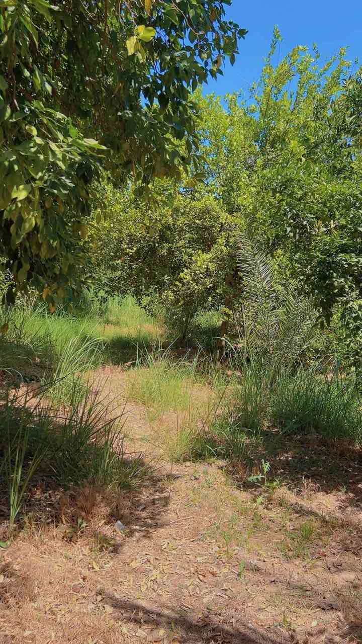 📢اعلان  دونم في بغداد منطقه الراشديه 🍋🏕️👍
📍الموقع : بغداد الراشديه 
☘️المساحه :  نص دونم 
🎍
🔚 
📝 موقع مميز 👌
 🍁مكتب   الراشديه 🍁
للاستفسار الاتصال على الارقام التاليه او زياره    
📹مستعدون  لعرض  عقاراتكم ولتسهيل عليكم البيع بالسرعة الممكنة ويفضل من المالك الشرعي للعقار   👌حصرا لتكون المصداقية مع المشتري حصرا... مع التقدير✅ 
 
مكتب دلالية ابو جود ☎️🤳✅️واتساب***********

⚠️موقع المكتب 
شمال بغداد منطقة  الراشدية 
يبعد عن ناحيه الراشديه ٣ دقايق 💫 
 #بيوت #مشتملات #بيع #شراء #استثمار #الحسينية #عقارات_بغداد #العراق #بغداد #عقارات_الحسينية #طابوملك_صرف #سكني #عقارات #موصل_بغداد_كركوك_حله_نجف_بصره #العراق_السعوديه_الاردن_الخليج #المحافظات_العراقية #بصره_بغداد_ميسان_ذي_قار_كل_المحافظات #اوربا_المانيا_النمسا_هولند #الخليج #دبي_قطر_الاردن_لبنان_العراق #العالم #انجاز #مقالب #سؤال #الشعب_الصيني_ماله_حل #اكسبلور #ريلز #متابعين #هاشتاق #بغداد_بصرة_موصل_الكويت_الخليج_دبي 💫اخوكم *********** وخادمكم  ابو جود
