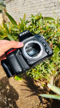 نيكون D610 • عدسة 24-120 • نجف