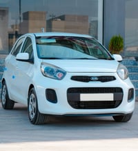 بيكانتو • ٢٠١٦ • رقم اربيل