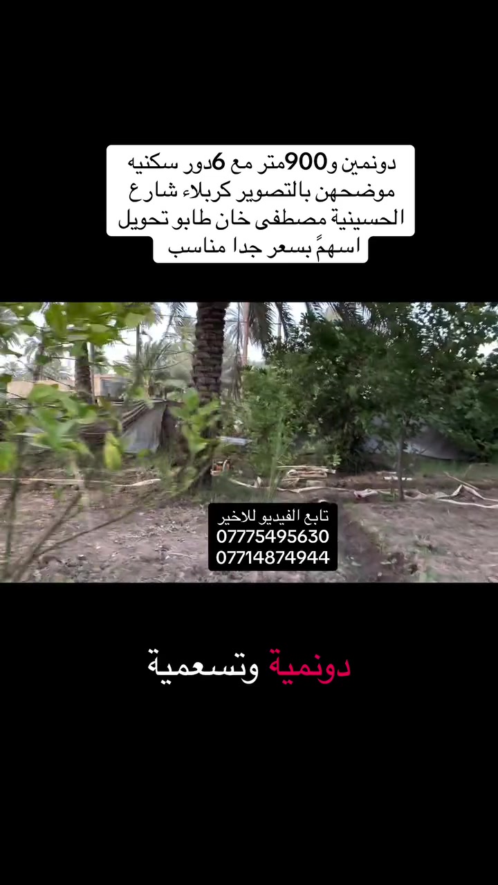اعزائي المتابعين 
السلام عليكم 
دونمين و900متر طابو تحويل اسهم مع 6دور سكنيه 
العنوان كربلاء  الحسينية منطقة مصطفى خان 
تبعد عن الشارع العام  50متر 
تباع كل الارض 
بسعر  مناسب جدا 
للاستفسار 
***********
***********
