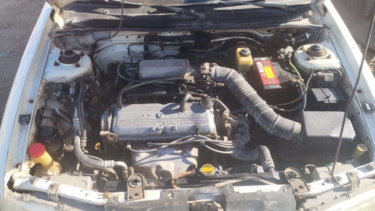 السلام عليكم للبيع كيا سيفيا مديل 1995 لون ابيض مكفولة محرك كير نضيفات  گير اوتوماتيك شواصي تخم تايرات  سيارة نضيفة كلش سيارة مالجناي 
رقم كربلاء خصوصي باسم راعيها  تحويل ثاني يوم 
مكاني كربلاء شارع ابو طالب  
للاستفسار ‭0770 047 8991‬
السعر 30 ورقة وبيها مجال اتصل وتامر كربلاء, العراق
