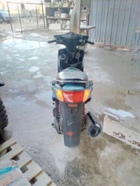 سنكس فحل نوزل للبيع دراجه صارله شهرين من نازله من رنبه  كفاله عامه برغ...