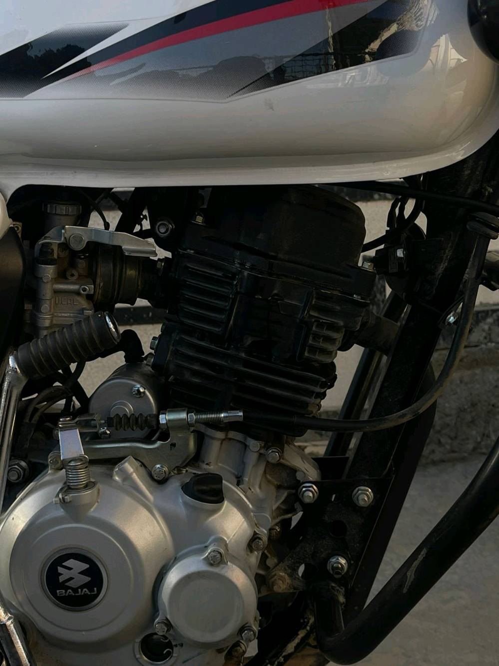 السلام عليكم  بوكسر كلاسك موديل ٢٠٢٣ للبيع

سنويه وارقام انكليزي ب اسمي تحويل مباشر
الدراجه قبل ٦ اشهر منزلهه من الشركه بعدهي نظيفه ع ايدي ممبدل بيهه اي شي 
كلشي ع تفاصيل الشركه وكامله متصرف عليهه ربع
مكينه خرسه شلعهه بنزات كلجات كلهه نظيفه وجاهزه تاخذهه كبل صندوك وللشارع

الدراجه كامله من كهربائيات كلها 

الدراجه نضيفه نظافه ٩٥٪؜ الصور كدامكم وتجي تشوفهه وتعرف احلى من الصور 
رايدهه ب٢٩٠٠ بمليونين و٩٠٠ الف وبيهه مجال بس مو هواي المجال 

مكاني بغداد العامريه للاستفسار *********** 

موجود واتس وماسنجر