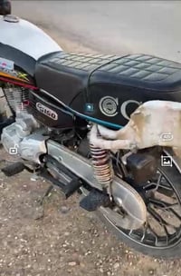 دراجة 2024 • اوراق كاملة • نضيفه