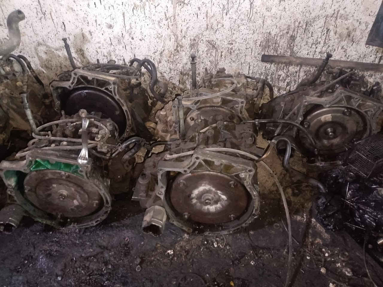 عروض على مواتير بيان جمركي حره والقيار عادي اوتوماتيك مسكره 
ماتور كيا تو دبل او ون او سبكترا راكب جاهز 250 🔥
ماتور كيا تو ستقل او كيا ون سنقل راكب جاهز 230 🔥
ماتور هونداي افانتا راكب جاهز 250 🔥
ماتور هونداي اكسنت راكب جاهز 250 🔥

قير كيا تو او ون وسبكترا اوتوماتيك راكب جاهز 170 🔥
قير اكسنت او افانتا اوتوماتيك راكب جاهز 170 🔥
قير عادي كيا تو او ون وسكبترا راكب جاهز 130 🔥
قير اكسنت او افانتا راكب جاهز 130 🔥

ويوجد لدينا جميع انواع القطع بودي وميكانيك داخل المحل مع خدمه توصيل لجميع المحافظات واسعار رمزيه

العنوان القويسمة وللتواصل 0786863388


**إذا كنت صاحب هذا الإعلان وتريد حذفه لأي سبب، رجاءا أرسل رسالة إلى الدعم الفني**