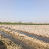 🌱 احجز عقارك واخذ دوانم لان الأرض الزراعية؟ ، ذهب  قيمتها تصعد وماتخسر...