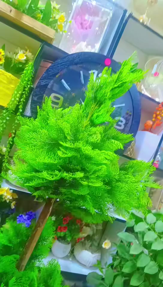 💐💐🪴🌿🌿🌿سعر 45


**إذا كنت صاحب هذا الإعلان وتريد حذفه لأي سبب، رجاءا أرسل رسالة إلى الدعم الفني**