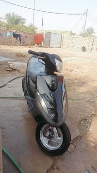 دراجة ماكس • كفالة • بصرة القرنة