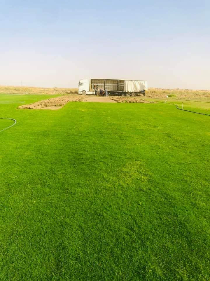 السلام عليكم مع بدء موسم زراعه الثيل وترتيب الحدائق وفرنا لكم جميع أنواع الثيل
ثيل هندي⛳️
ثيل امريكي ⛳️
ثيل ايطالي ورقي ⛳️
ثيل انكليزي جلد الغزال 
ثيل فرنسي ابو الورده 
مستعدين لعمل المنازل �
المتنزهات 🌱
الملاعب الرياضيه 
الدوائر الحكومية 
 🚜توصيل كافة جميع  محافظات العراق🚜
للاستفسار الاتصال 👆👆📲

***********
***********
***********
